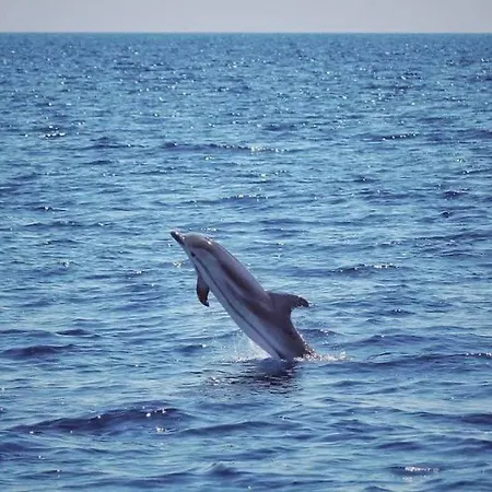 Гостевой дом A-mare Exclusive & Таранто